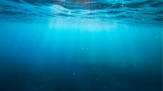 Are you ready for the CSRD compliance deadline? The CSRD platform has you covered!