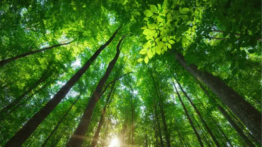 Our three-step approach to sustainable value creation